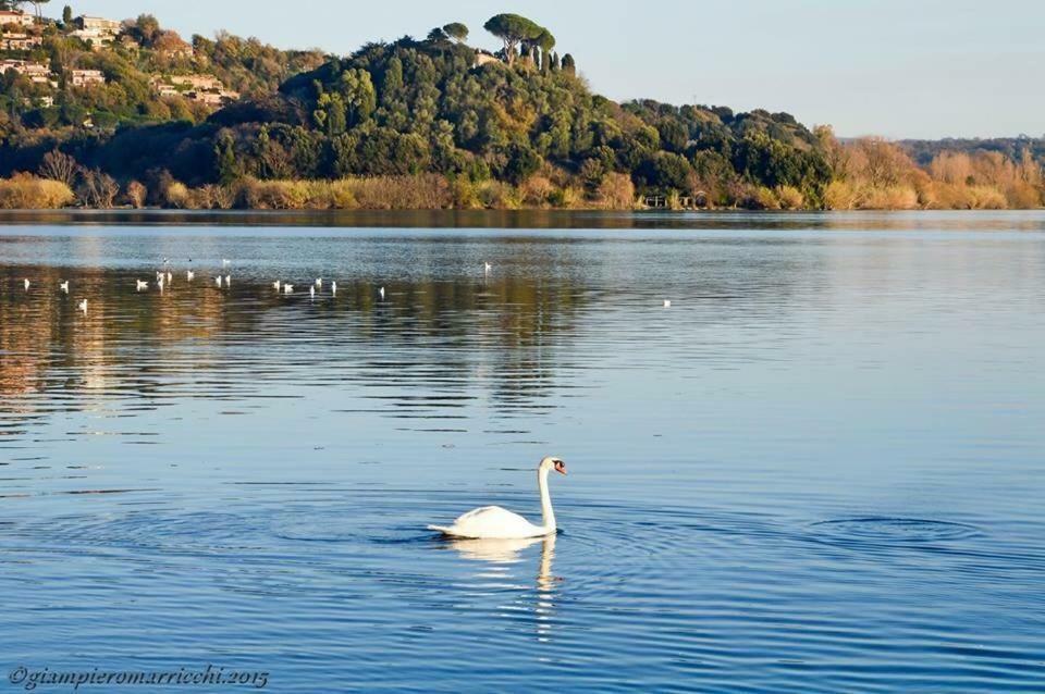 Pepe Apartment -Lago Di Bracciano เตรวินญาโน โรมาโน ภายนอก รูปภาพ